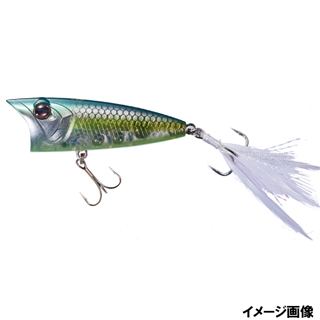 GG64 GSジェードシャッドチャートベリー