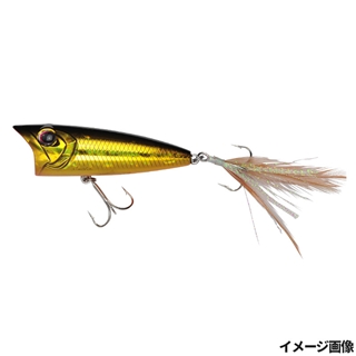 H04 黒金オレンジベリー