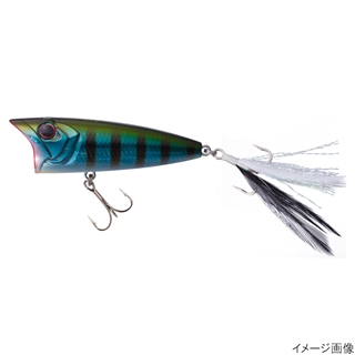 BH45 ツレスギル