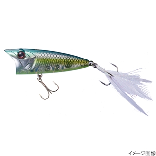 GG64 GSジェードシャッドチャートベリー