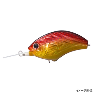 SH48 ゴールドファイヤー