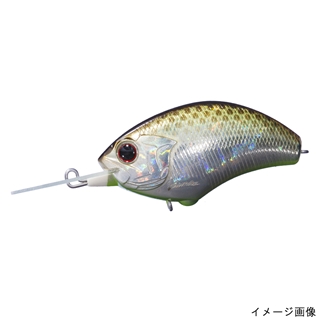 DM27 DMブラウンチャートベリー