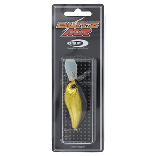 H04 黒金オレンジベリー