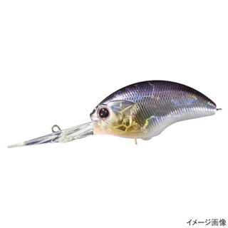 H09 アイスシャッド