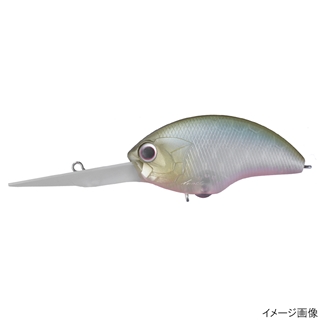 M91 マットワカサギ