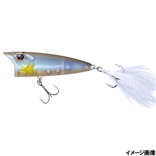 P47 ヌメリシャッド