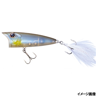 P47 ヌメリシャッド