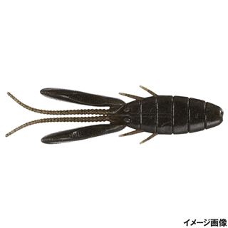 W004 グリーンパンプキンペッパー