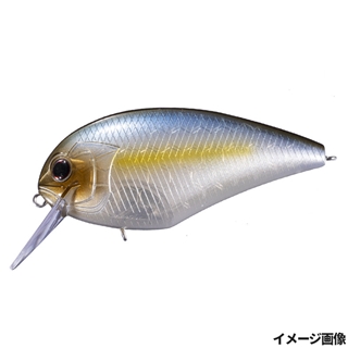 P23 テイスティシャッド