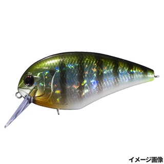 BH45 ツレスギル