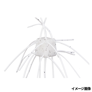 SR06 アメリカシロヒトリ