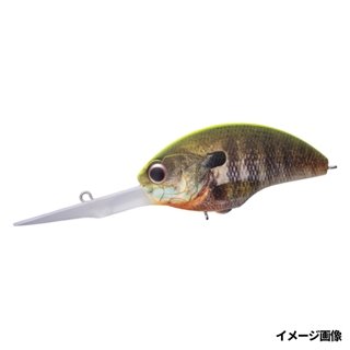 RP07 マットチャートバックリアルギル