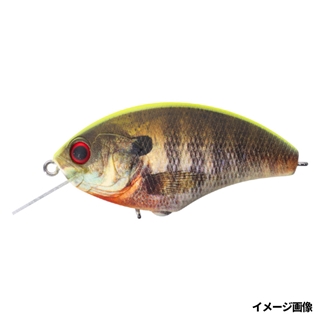 RP07 マットチャートバックリアルギル