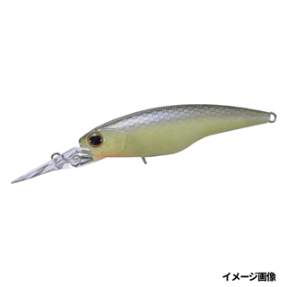 P91 チャートワカサギ