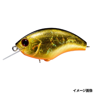 H04 黒金オレンジベリー