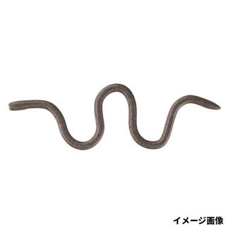 WF004 グリーンパンプキンペッパー(高浮力)