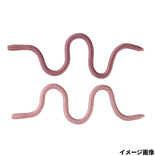 TWF204 まんまみみずぅ(高浮力)