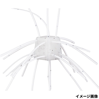 SR06 アメリカシロヒトリ