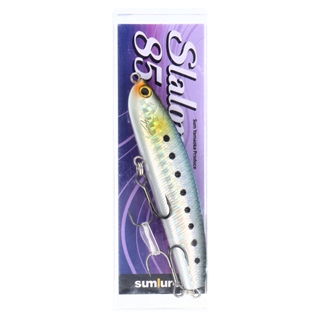 ホログラムイワシ