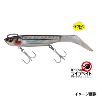 #22 ライブキビナゴ