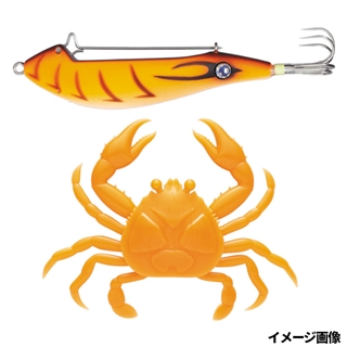 2 ミカンエビ(夜光)