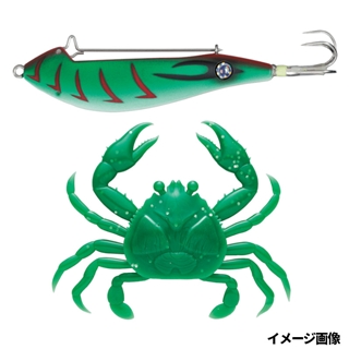 8 ミドリエビ(夜光)