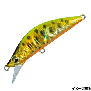 13.ゴールドチャートヤマメ