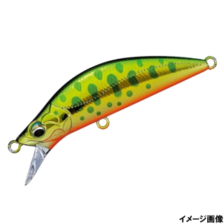 11.グリーンゴールドヤマメ