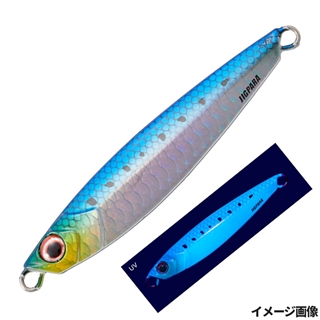 15 ケイムラ イワシ