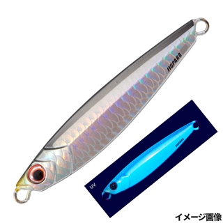 133 ケイムラ セグロイワシ