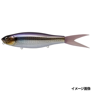 #16 コノシロ