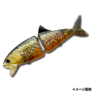 KDW02 タイガートラウト