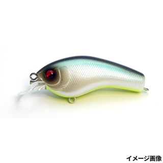 005.ネオンシャッド