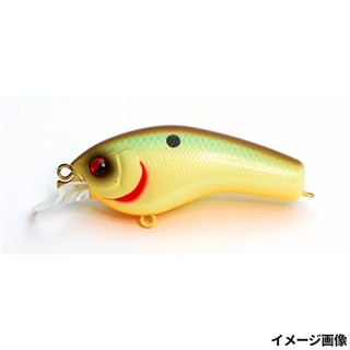 008.クリームシャッド