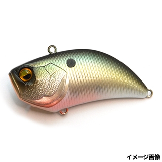 051.アメージングシャッド