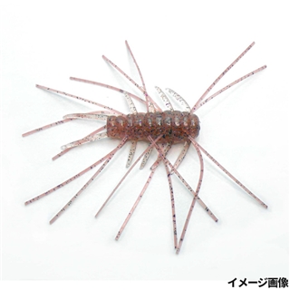 133.シナモンシュリンプ