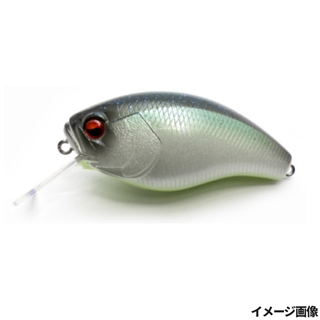 019.ネオンシャッド