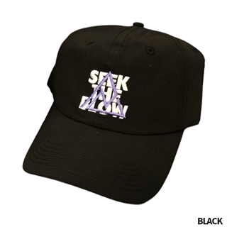 レイドジャパン 26 STB 6パネル ナイロンキャップ フリー BLACK