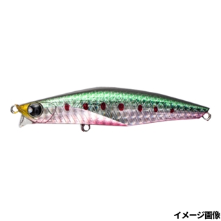 #007 マルチイワシ