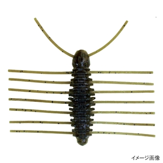 #S-14 グリーンパンプキンペッパー