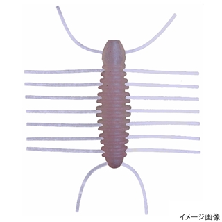 #S-354 新イマエワカサギ