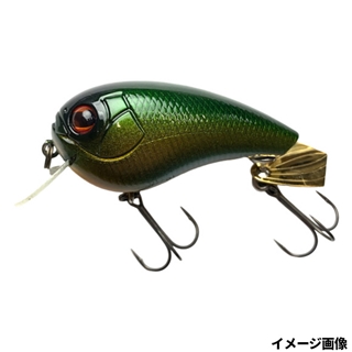 #84 グリーンカナブン