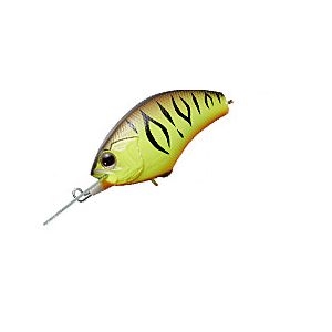 M27 チャートブラウンタイガー