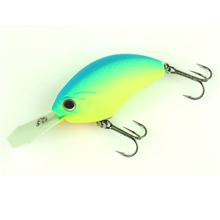 M62 ハニーブルー