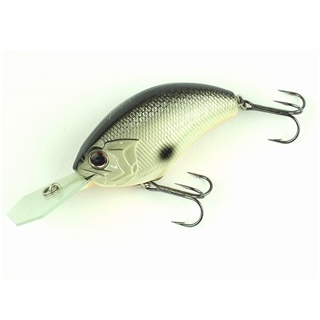 P21 ブラックバックシャイナー