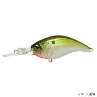 008.パールシャッド