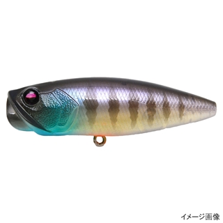 013.レイジングブル