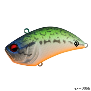 034.パールバックバス