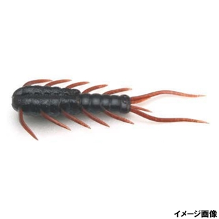 036.スカッパノン