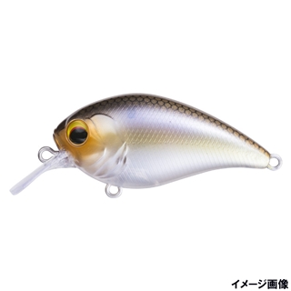 #006 ゴーストシャッド